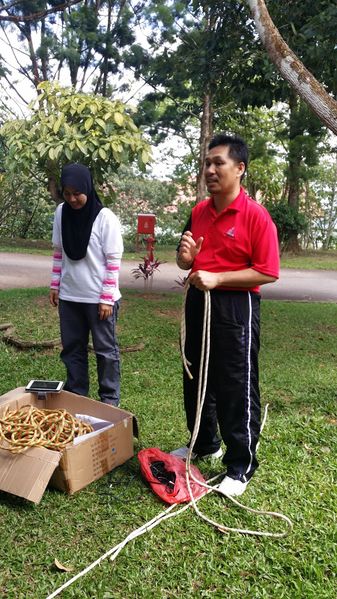 Fail:JENIS-JENIS IKATAN.jpg